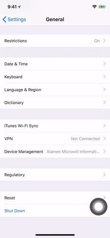 Как очистить оперативную память на вашем iPhone XS, XS Max или XR, чтобы решить проблемные приложения и повысить производительность