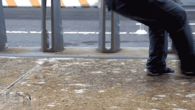 Рене падает с Apple Watch