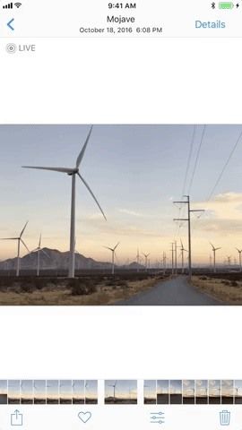 7 лучших новых функций для живых фотографий в iOS 11 для iPhone