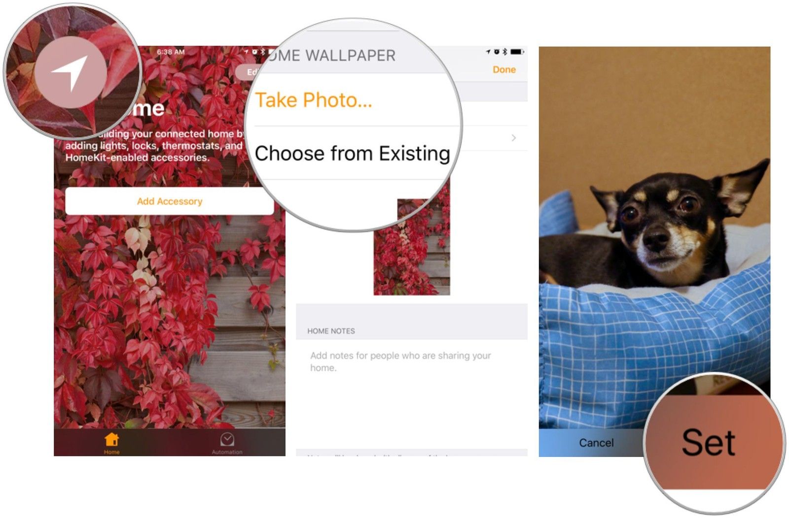 Как сменить домашние обои в iOS 10 Home.