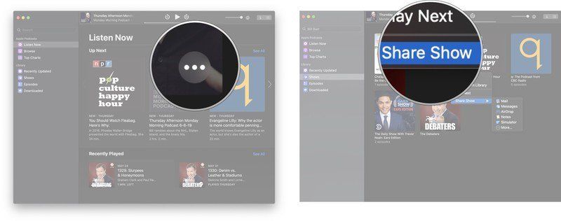Нажмите кнопку параметров (она выглядит как три точки), а затем нажмите «Показать шоу» или «Поделиться эпизодом».