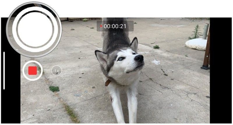 Нажмите на белую кнопку спуска, чтобы сделать снимок Нажмите на белую кнопку спуска, чтобы сделать снимок