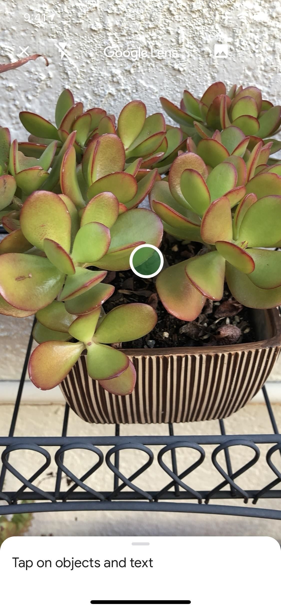 Вы действительно должны нажать этот значок в вашем iPhone's Google App