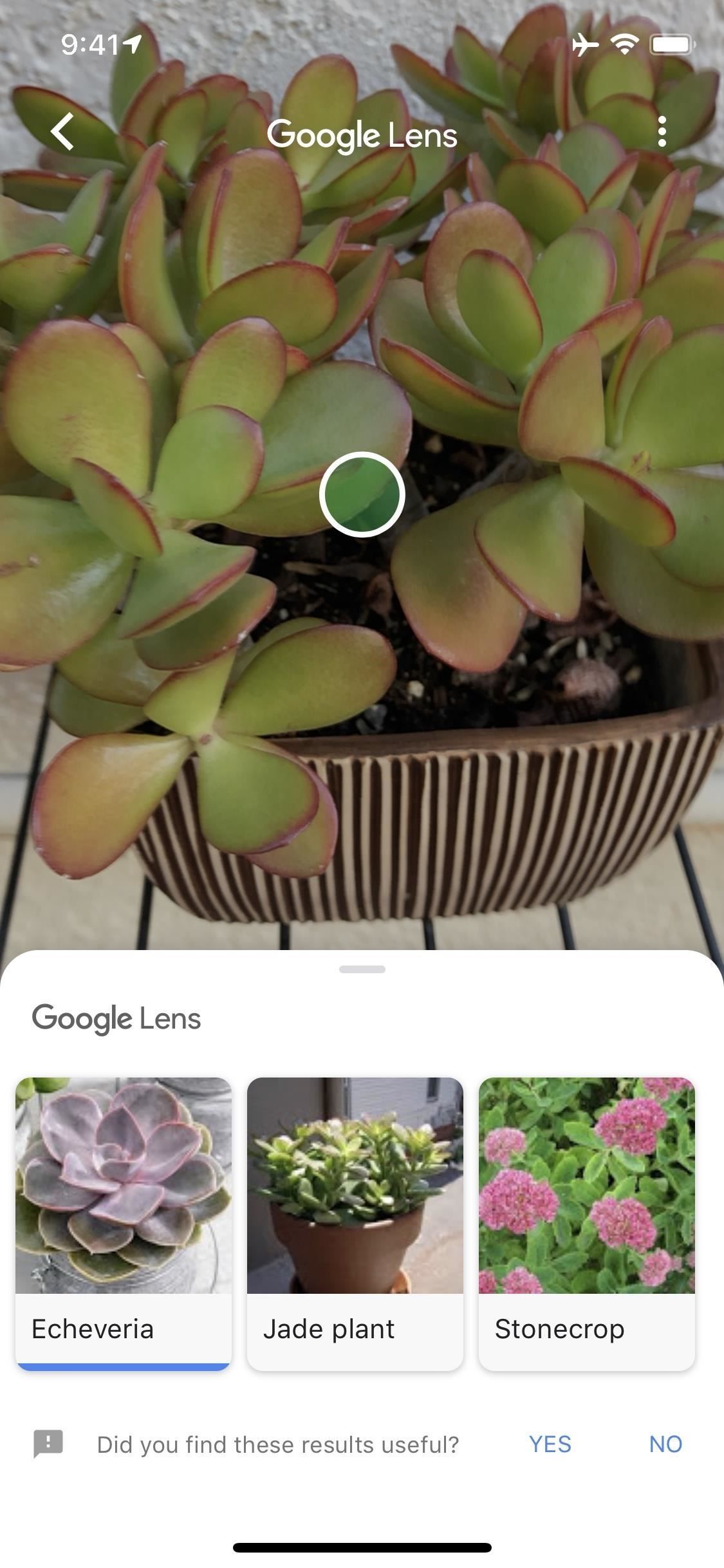 Вы действительно должны нажать этот значок в вашем iPhone's Google App