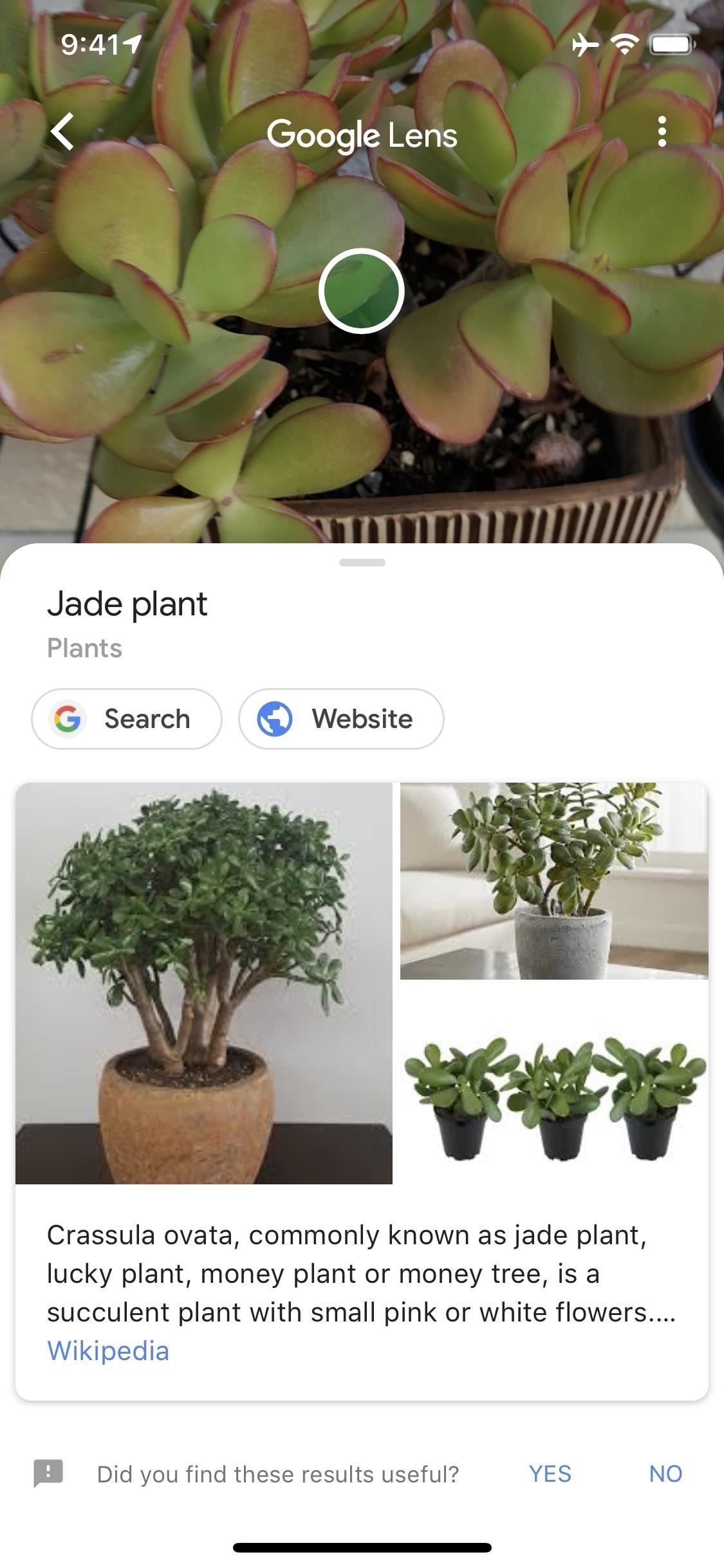 Вы действительно должны нажать этот значок в вашем iPhone's Google App