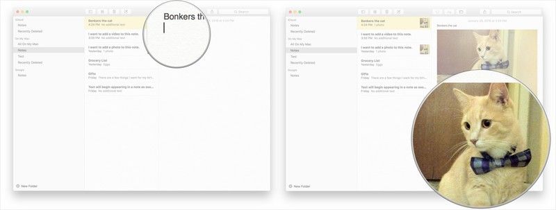 Нажмите на заметку, где вы хотите, чтобы фотография, и вставьте изображение.