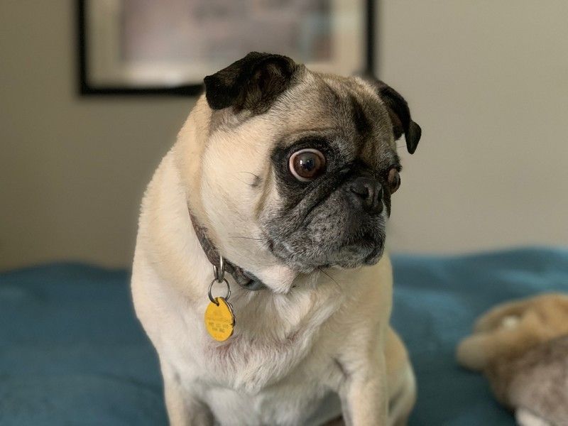 Портретный режим