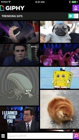 Как превратить GIF-файлы в живые фотографии на вашем iPhone