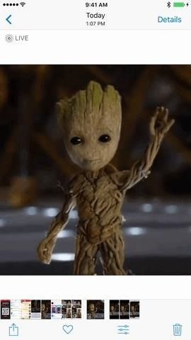 Как превратить GIF-файлы в живые фотографии на вашем iPhone