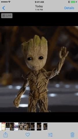 Как превратить GIF-файлы в живые фотографии на вашем iPhone