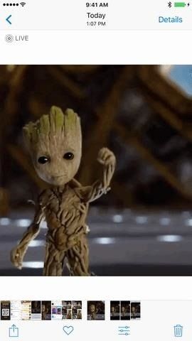 Как превратить GIF-файлы в живые фотографии на вашем iPhone