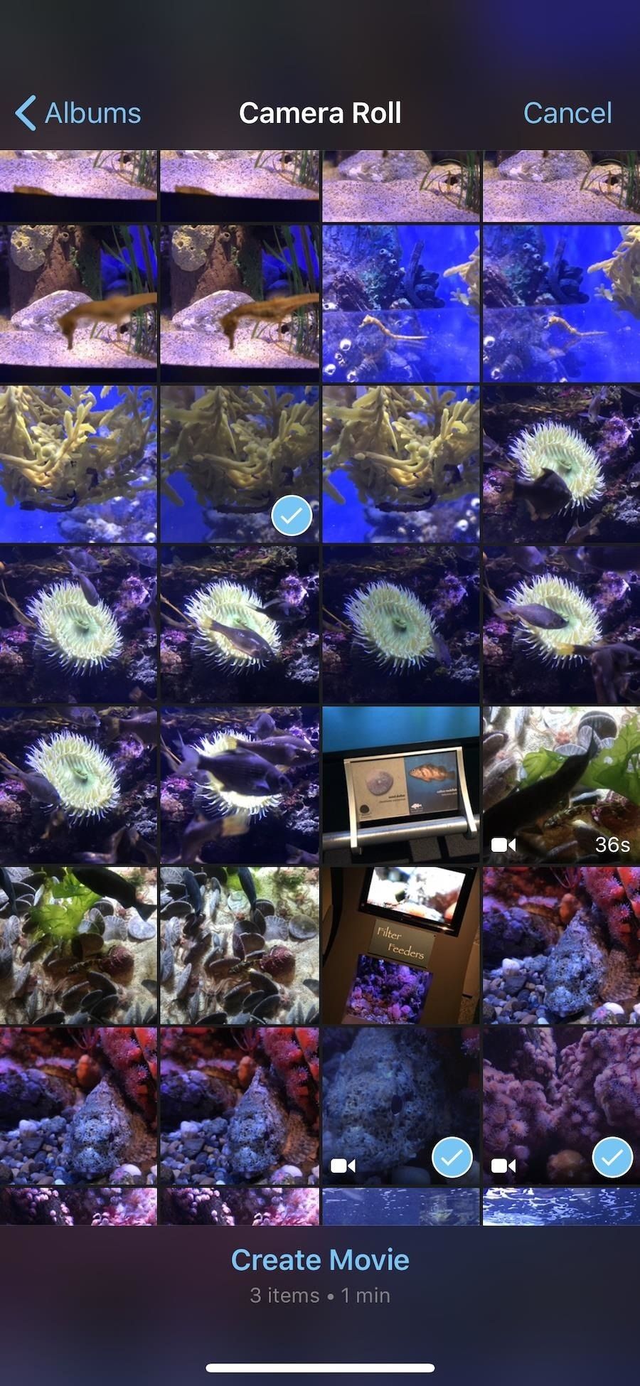 Как создать новый проект фильма в iMovie на вашем iPhone