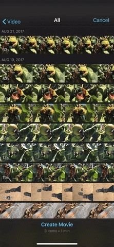 Как создать новый проект фильма в iMovie на вашем iPhone