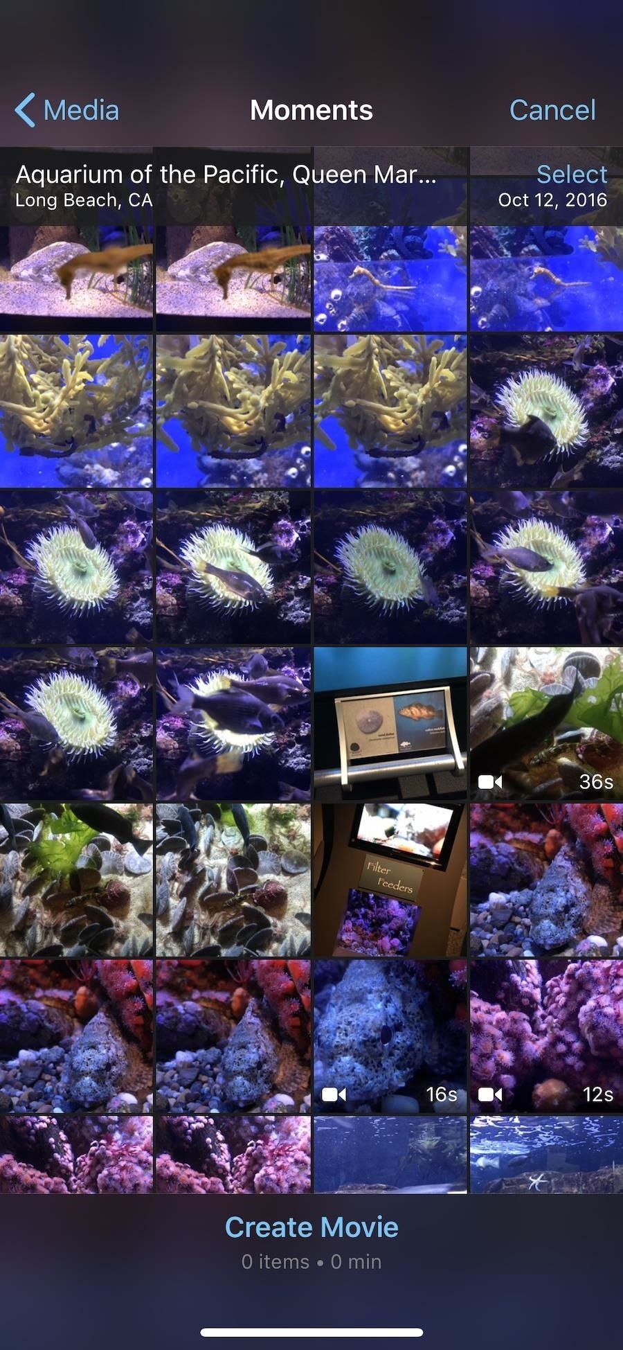 Как создать новый проект фильма в iMovie на вашем iPhone