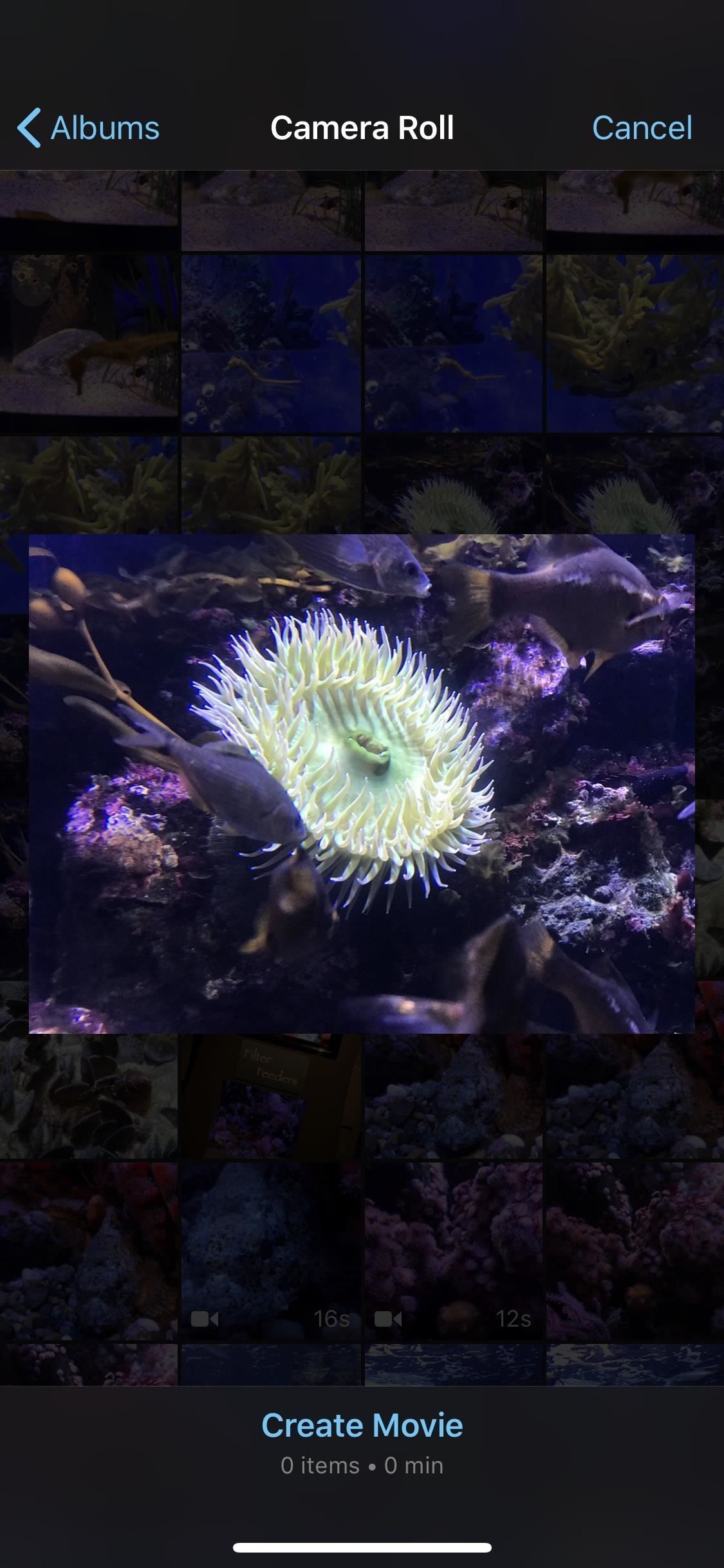 Как создать новый проект фильма в iMovie на вашем iPhone