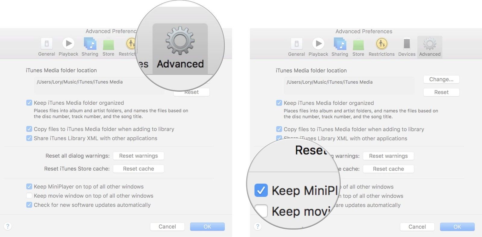 Расширенные инструменты на панели настроек iTunes