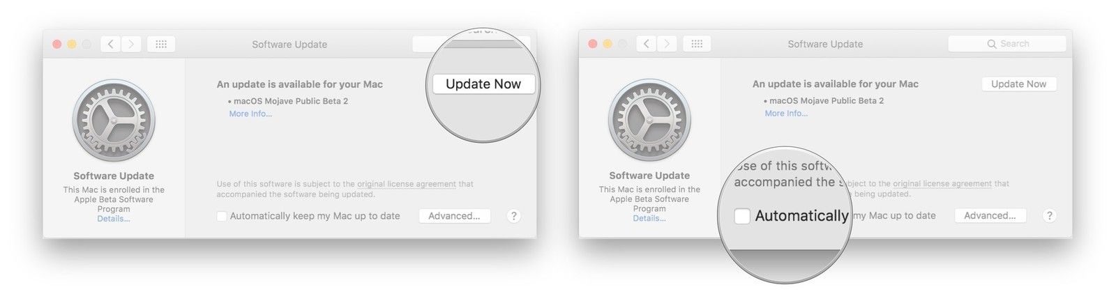 Нажмите Обновить сейчас, установите флажок