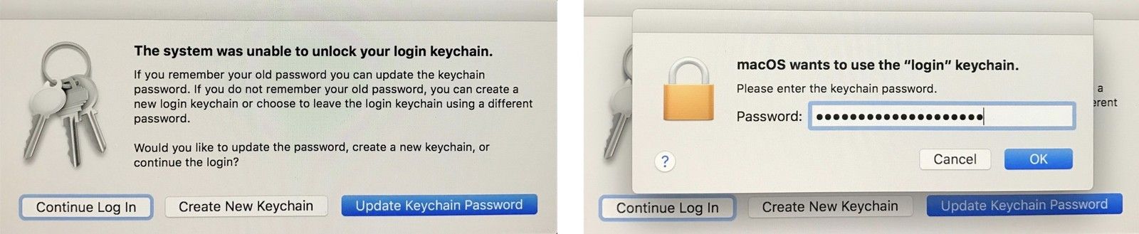 При появлении запроса нажмите «Продолжить вход», «Создать новый брелок» или «Обновить пароль брелка».
