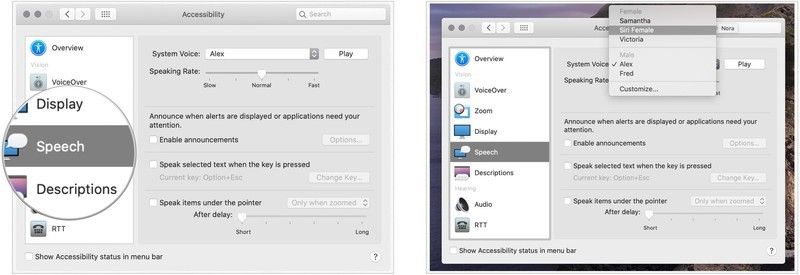 Сири для VoiceOver Сири для VoiceOver