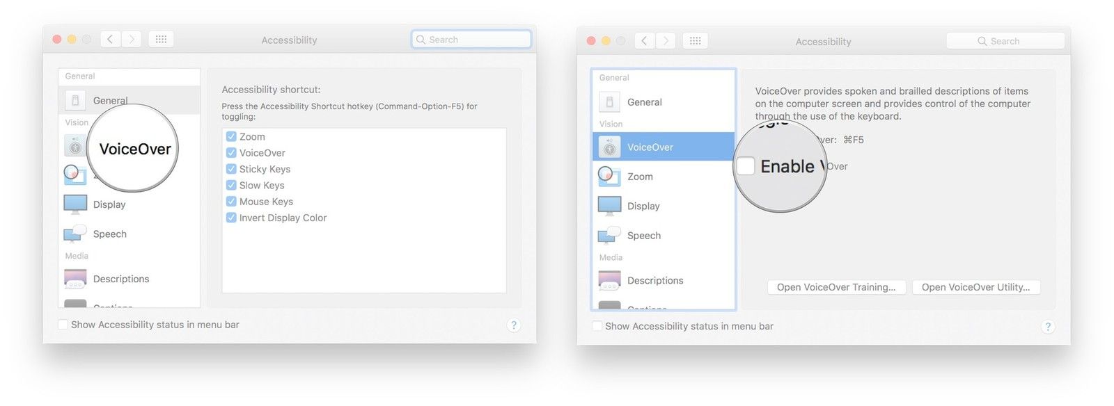 Нажмите VoiceOver, установите флажок