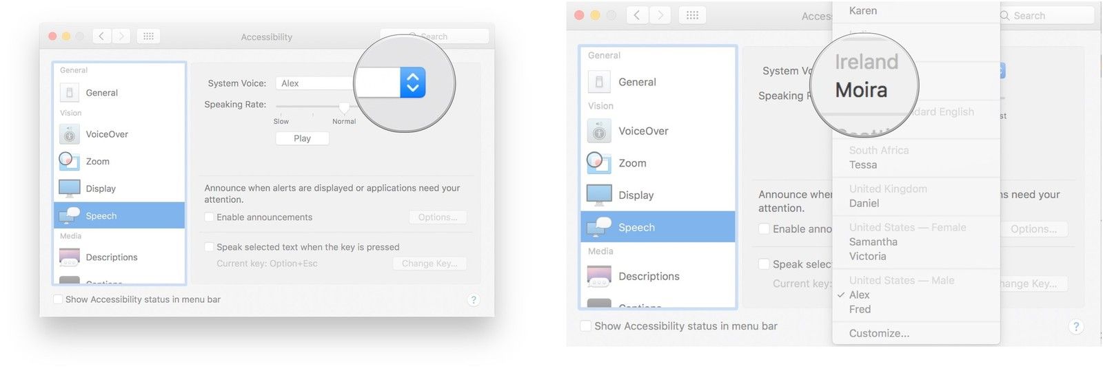 Нажмите выпадающее меню, нажмите голос
