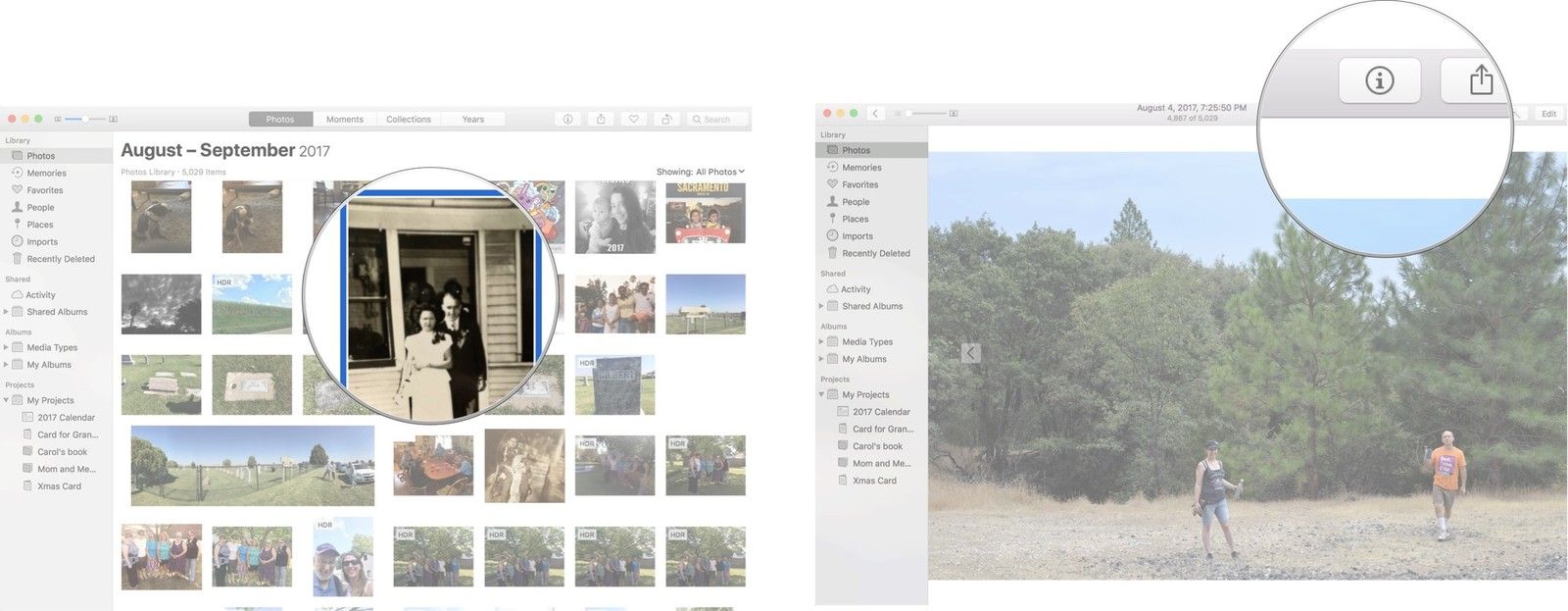 Нажмите на фотографию, затем нажмите на кнопку информации для фотографии