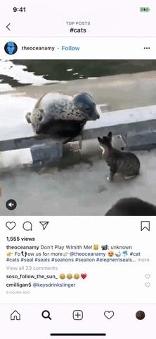 Настройки, ярлыки и хаки Siri, которые должен знать каждый пользователь iPhone