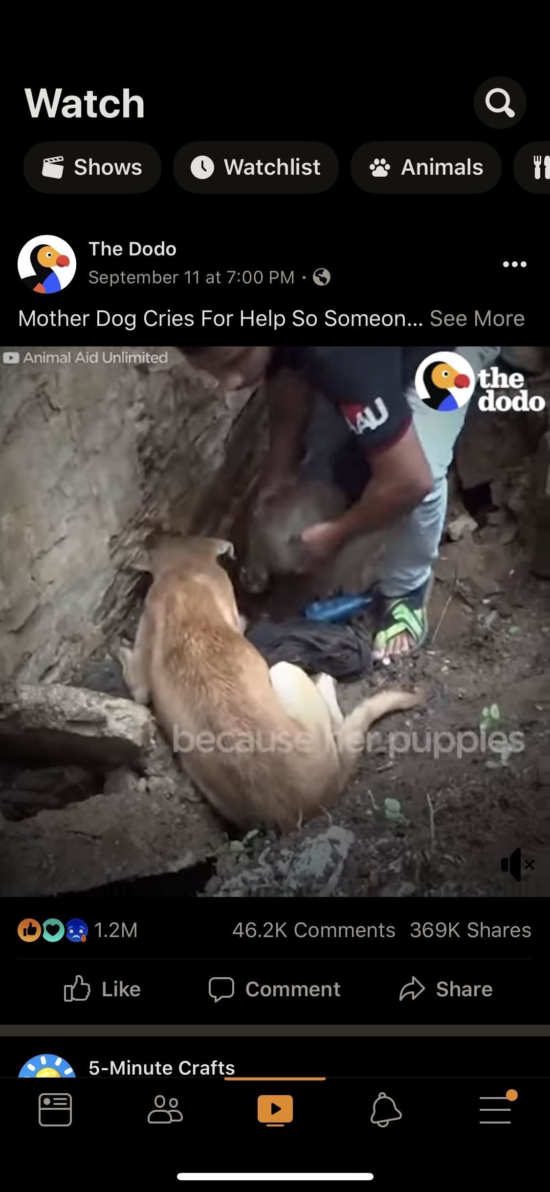 Сделайте так, чтобы все приложения для iPhone работали с iOS 13's New Dark Mode