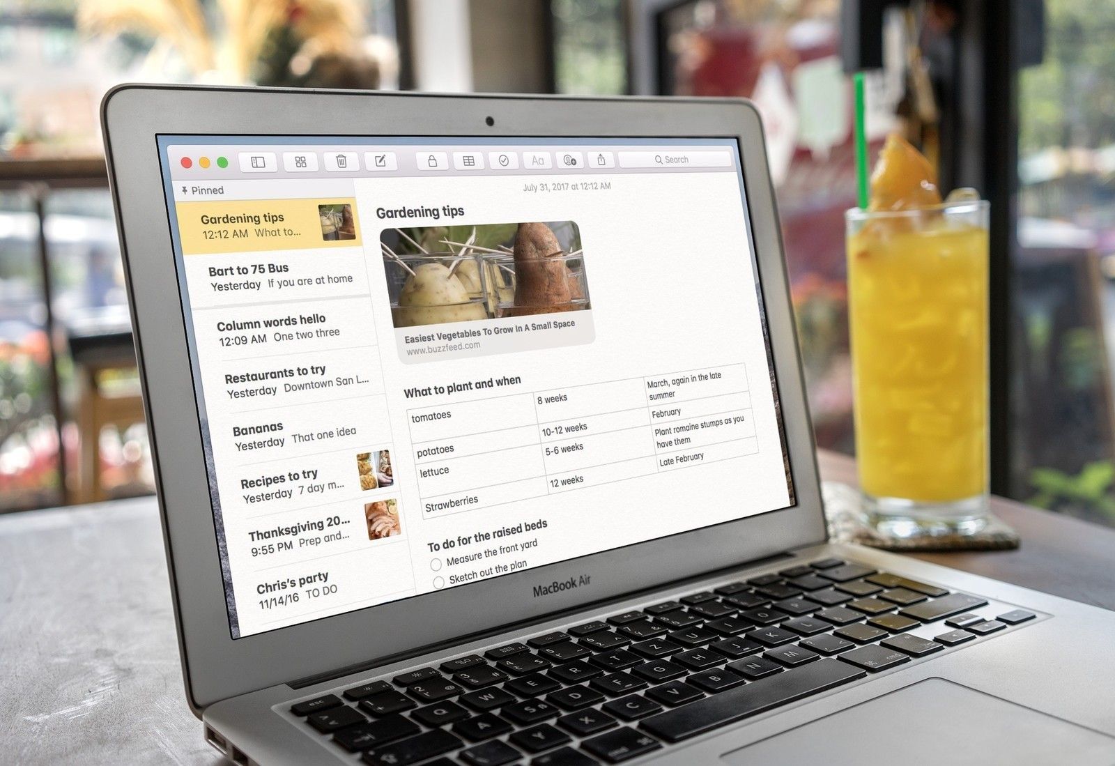 Приложение Notes на Mac