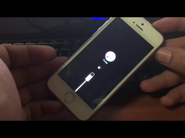 Как исправить Apple iPhone XR, застрявший на черном экране [Руководство по устранению неполадок] 1