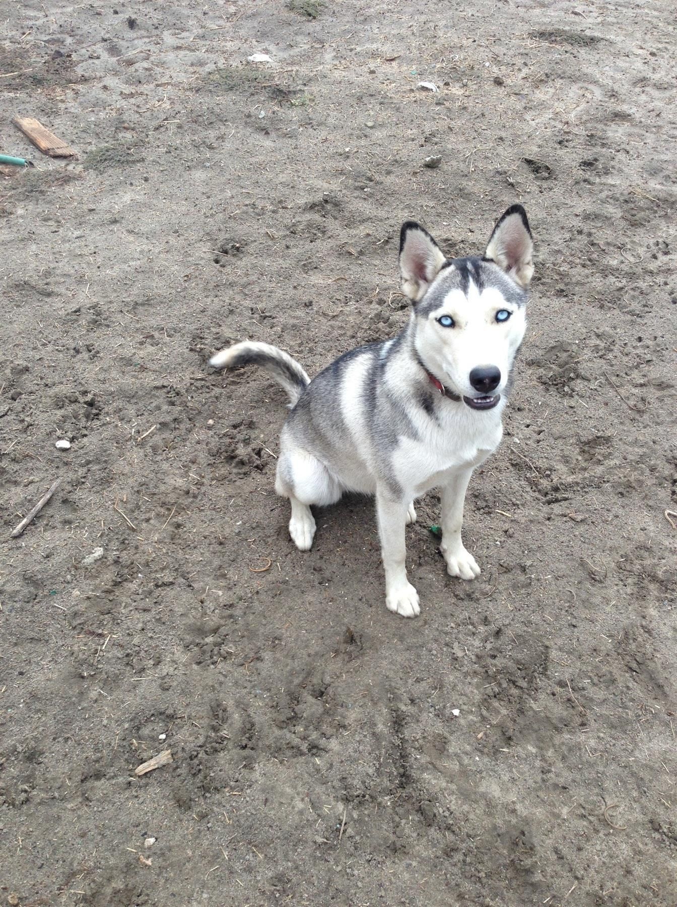 Как включить себя в фотографии, которые вы делаете со своей семьей и друзьями на своем iPhone