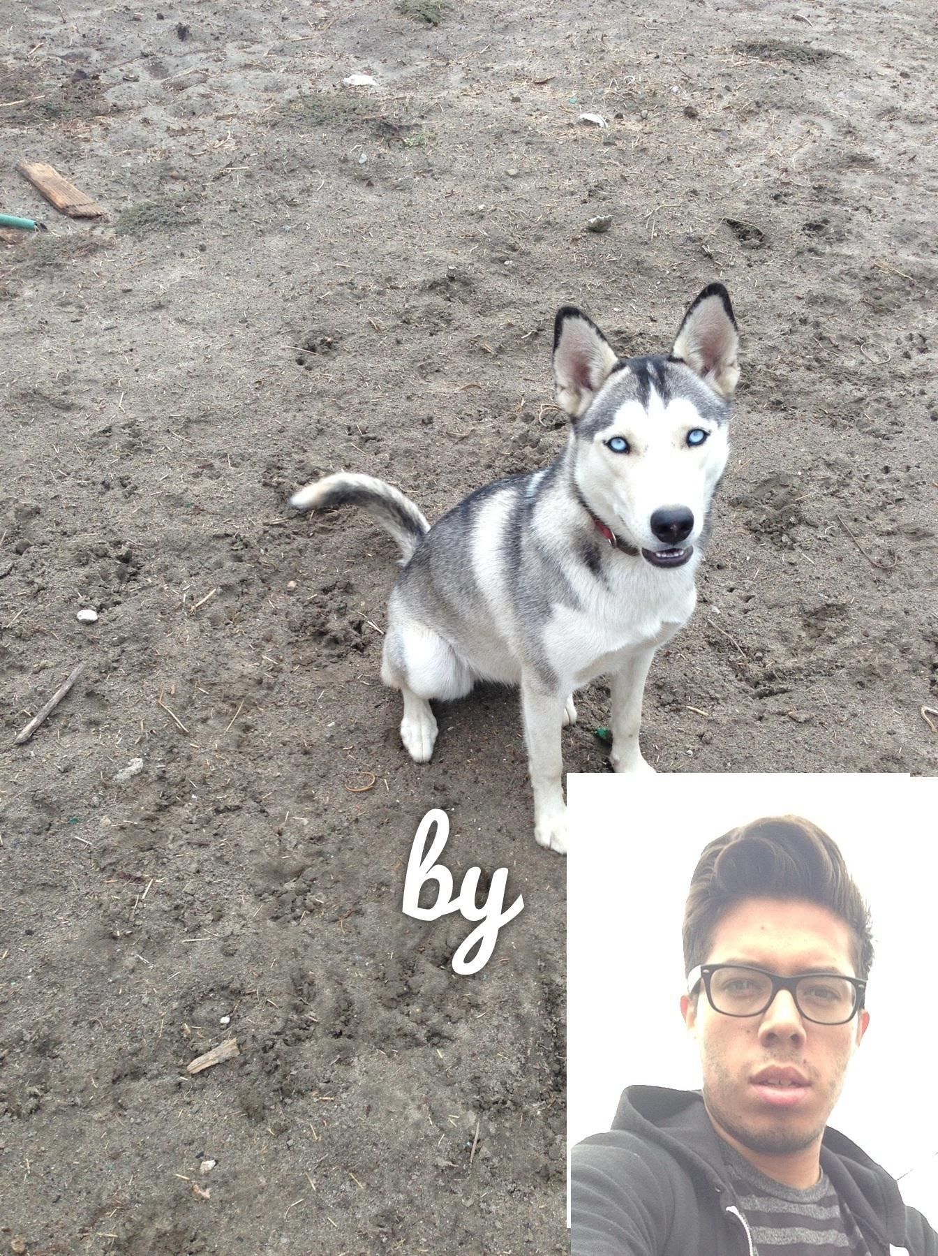 Как включить себя в фотографии, которые вы делаете со своей семьей и друзьями на своем iPhone