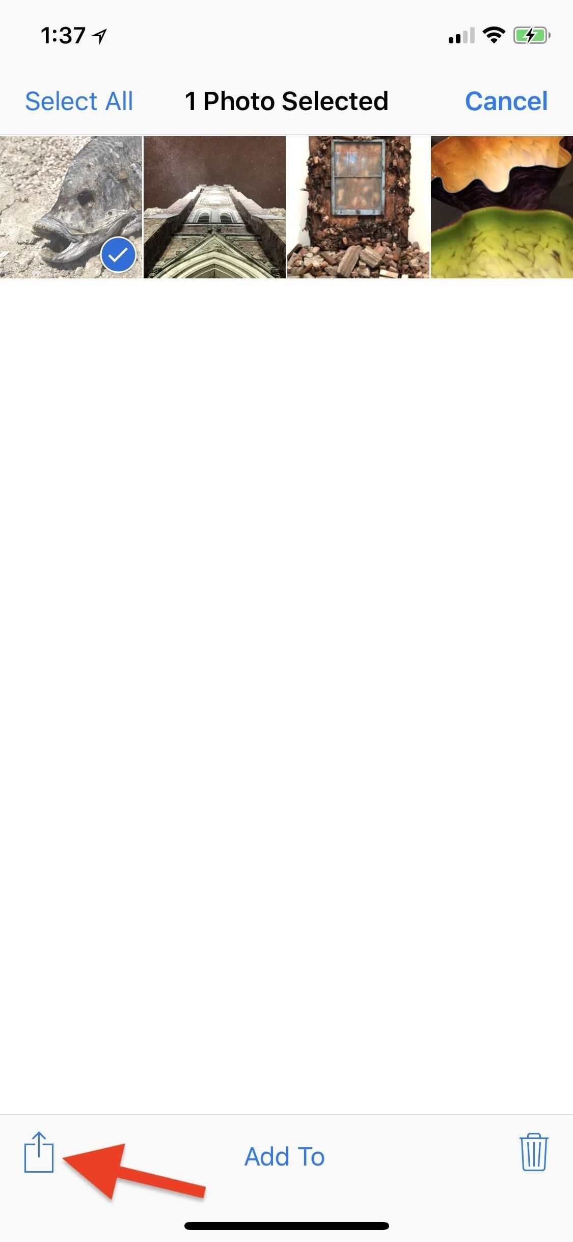 Apple Photos 101: как скрыть изображения и видео с вашего iPhone's Camera Roll