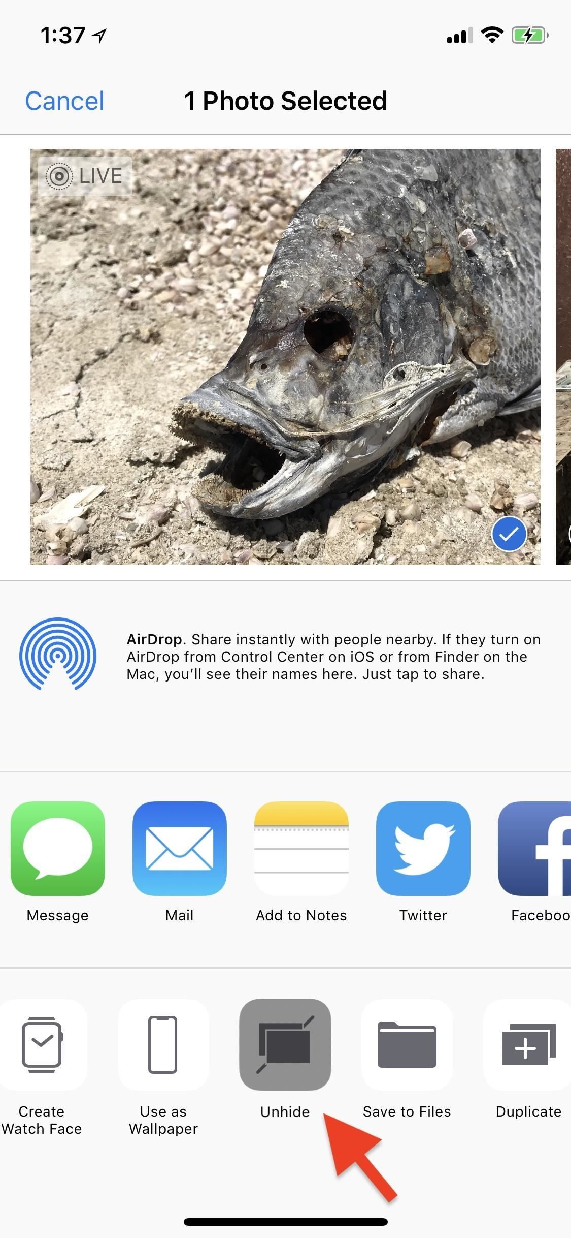 Apple Photos 101: как скрыть изображения и видео с вашего iPhone's Camera Roll