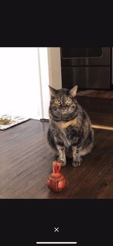 Как добавить лучшие световые эффекты для фотографий в портретном режиме на вашем iPhone