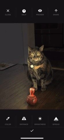 Как добавить лучшие световые эффекты для фотографий в портретном режиме на вашем iPhone