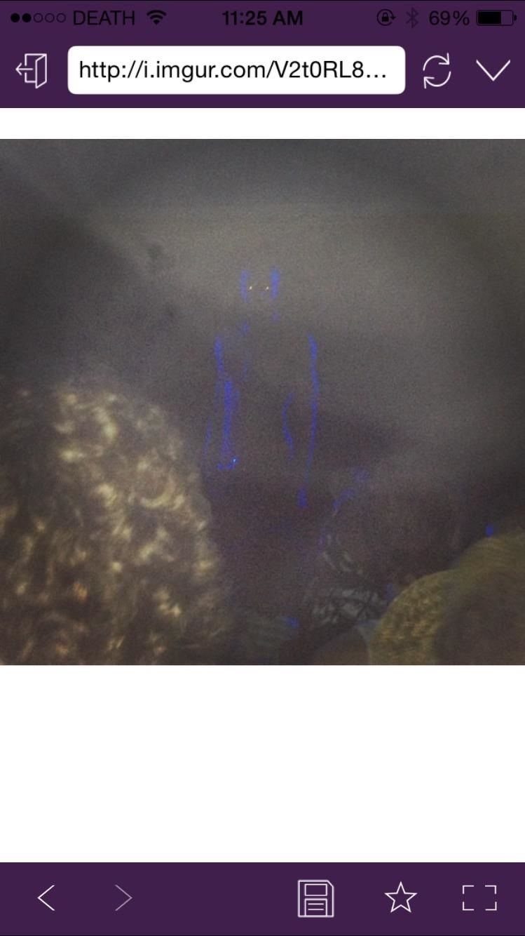 Как импортировать, передавать и защищать паролем фото и видео на вашем iPhone