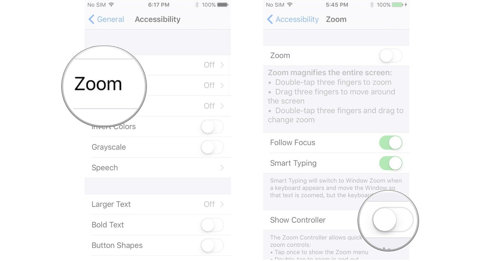 нажмите Zoom, нажмите переключатель рядом с Показать контроллер