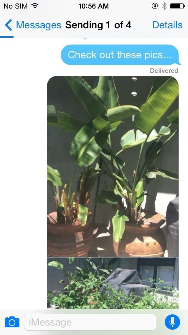 Как отправить по электронной почте и текст несколько фотографий быстрее в iOS 8