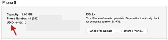 Как получить watchOS 2 Beta на Apple Watch прямо сейчас