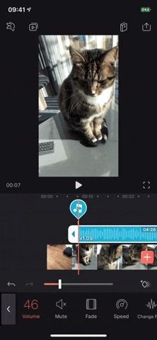Все, что вам нужно знать о добавлении и редактировании аудио для видео в Enlight Videoleap для iPhone