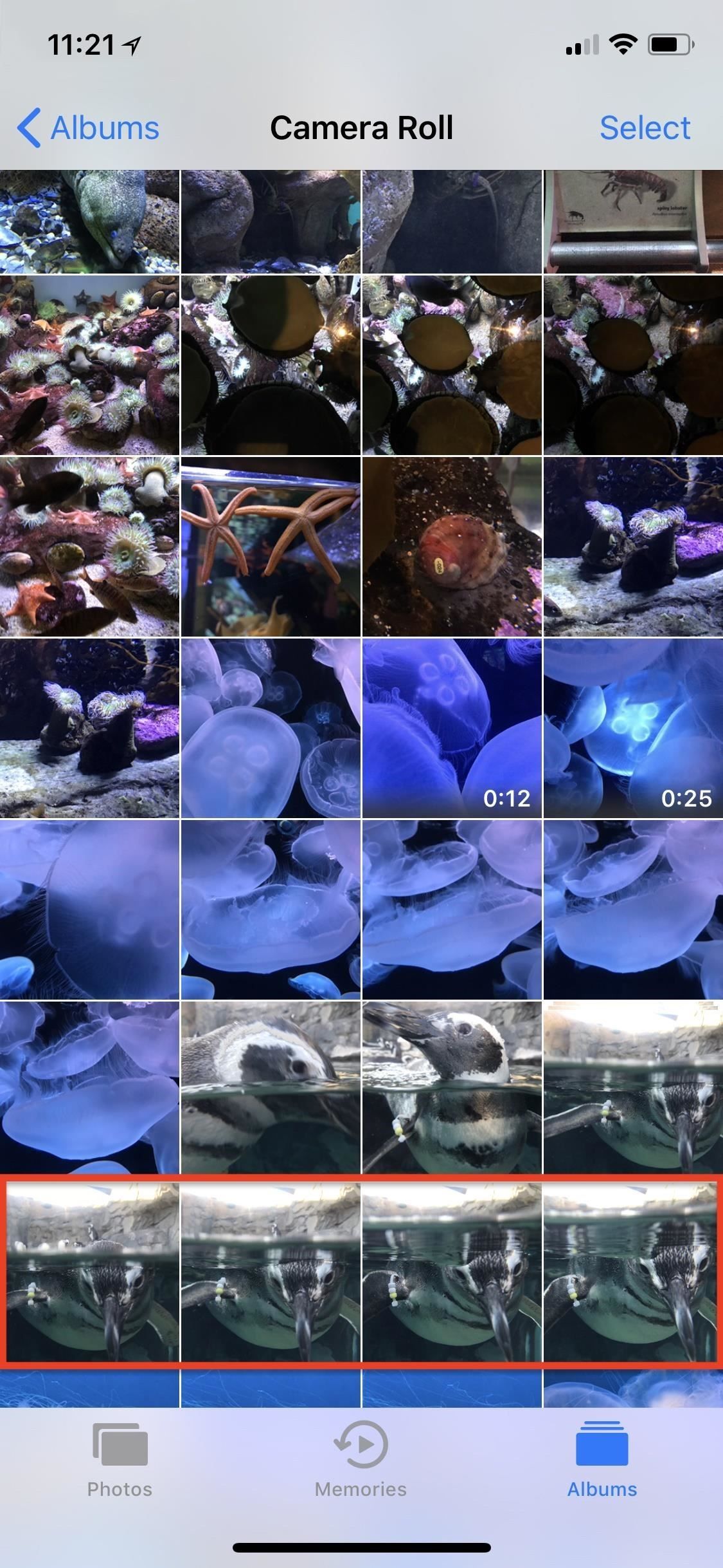 Apple Photos 101: как просматривать, сохранять и редактировать серийные снимки на вашем iPhone