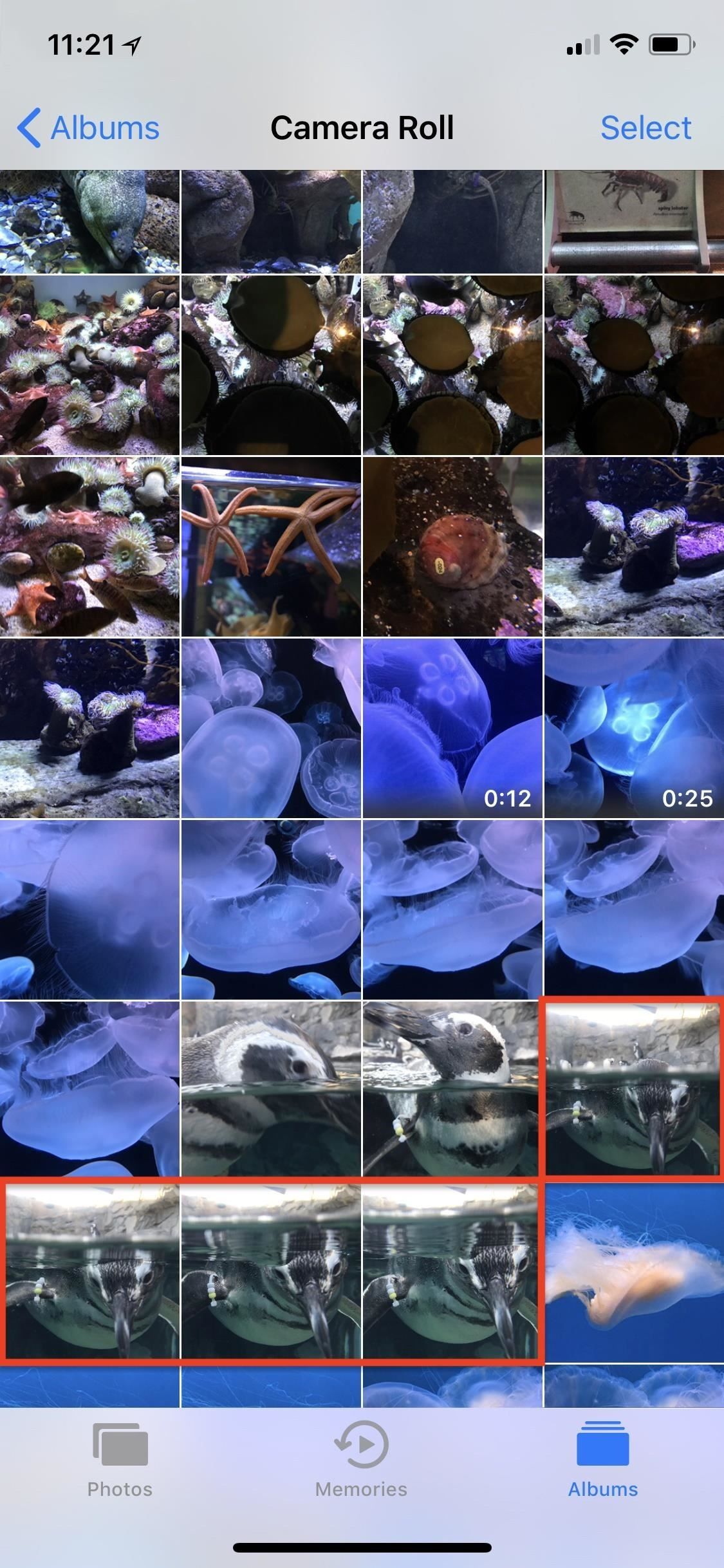 Apple Photos 101: как просматривать, сохранять и редактировать серийные снимки на вашем iPhone