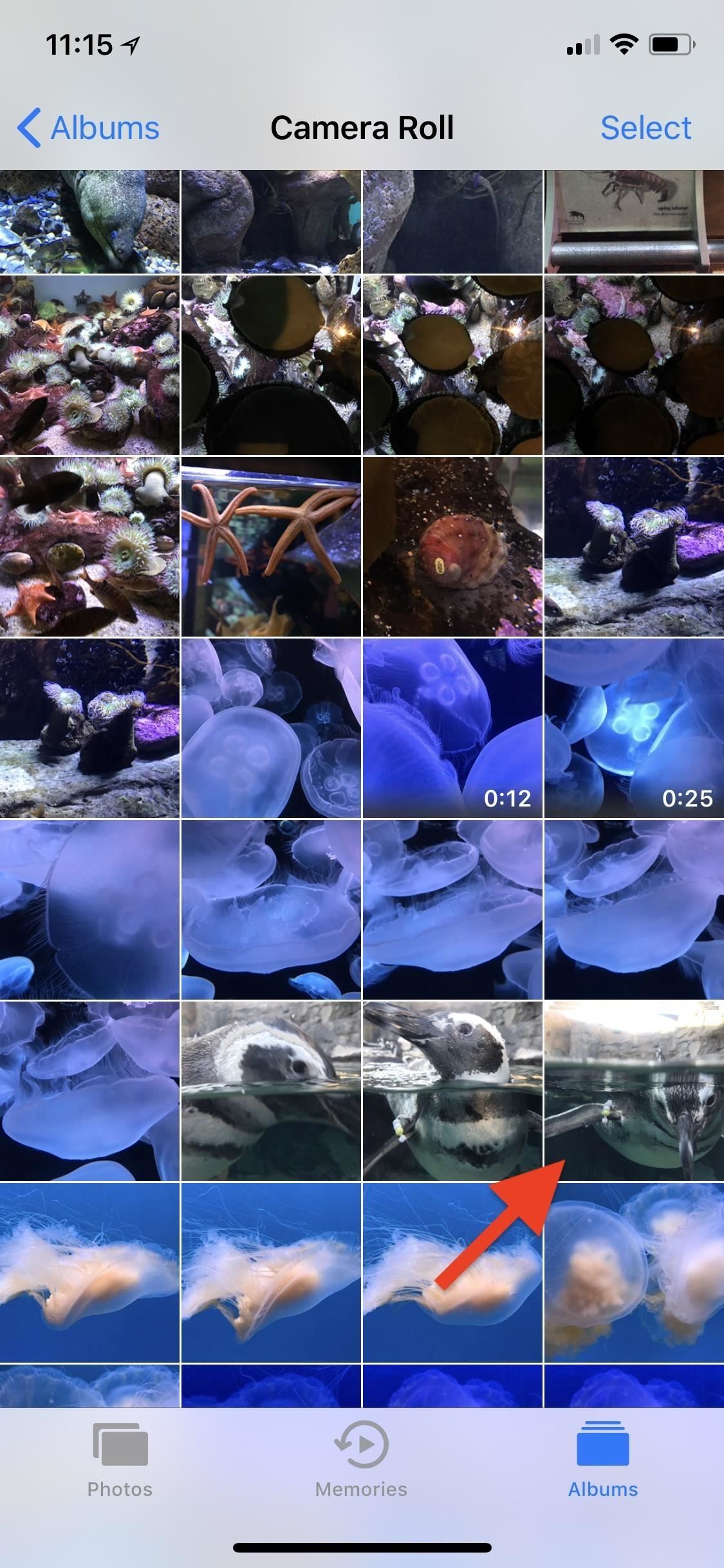 Apple Photos 101: как просматривать, сохранять и редактировать серийные снимки на вашем iPhone