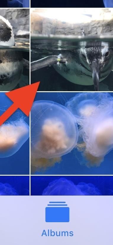 Apple Photos 101: как просматривать, сохранять и редактировать серийные снимки на вашем iPhone