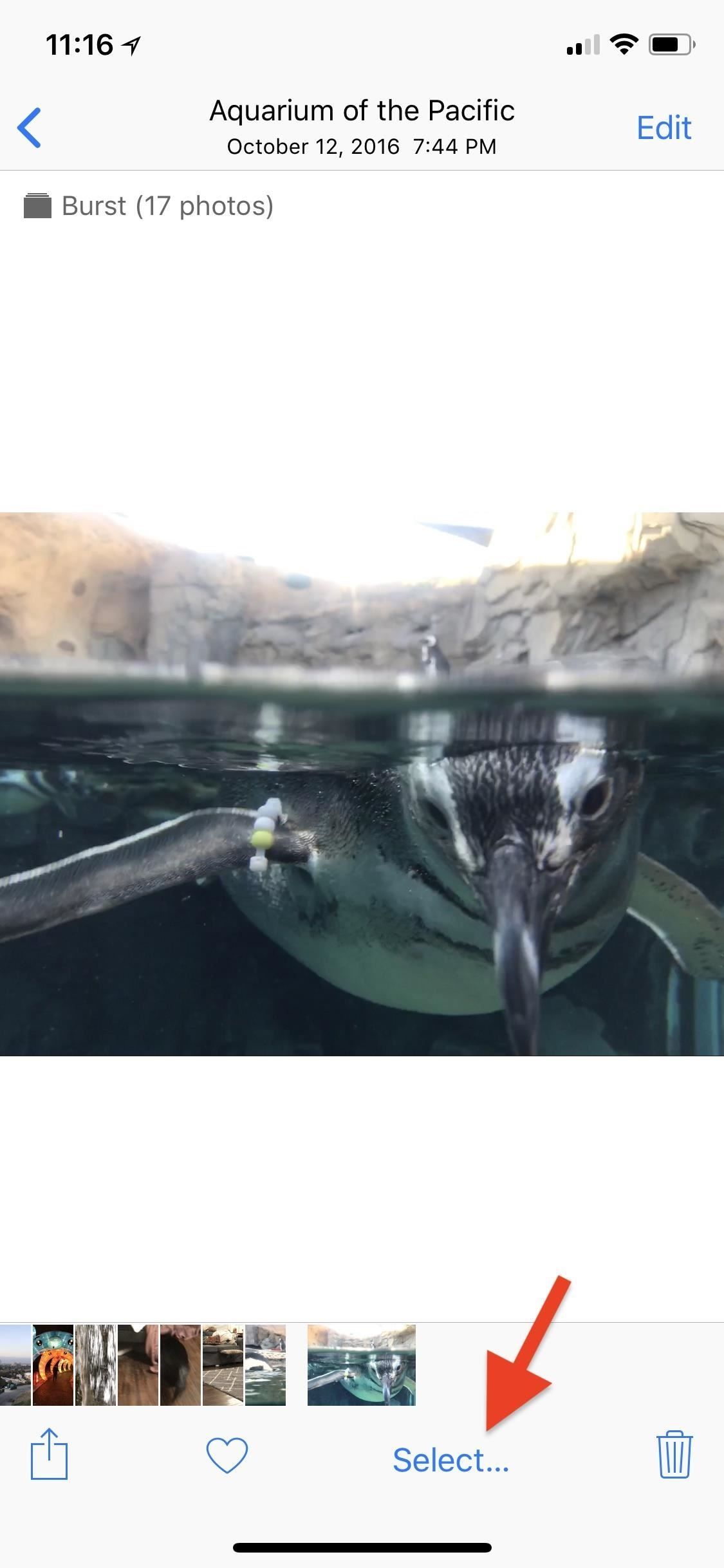 Apple Photos 101: как просматривать, сохранять и редактировать серийные снимки на вашем iPhone