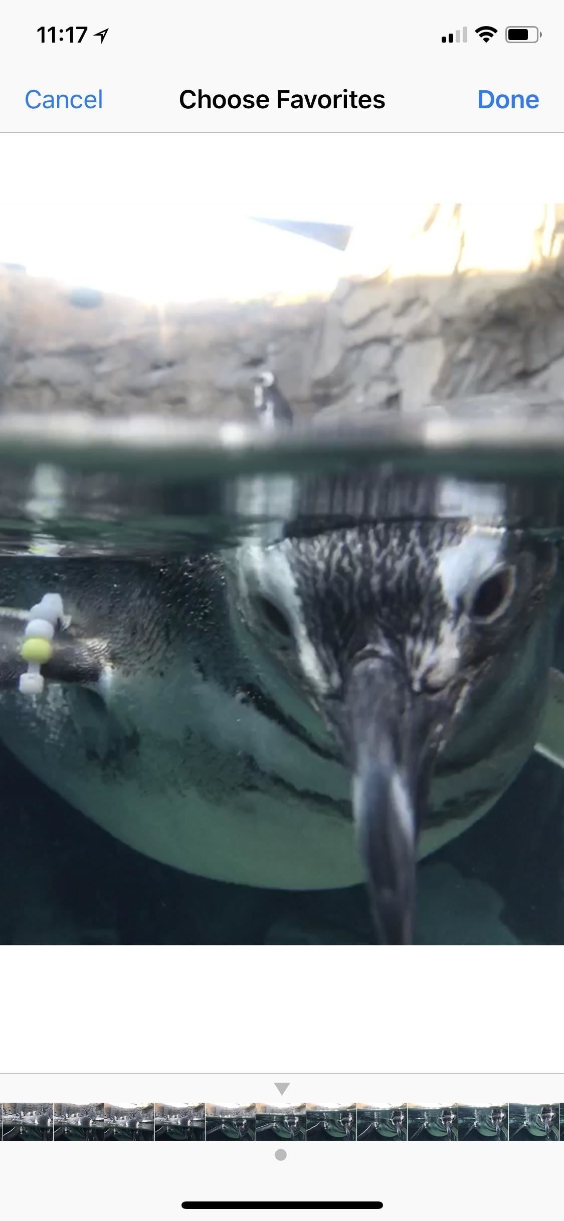 Apple Photos 101: как просматривать, сохранять и редактировать серийные снимки на вашем iPhone