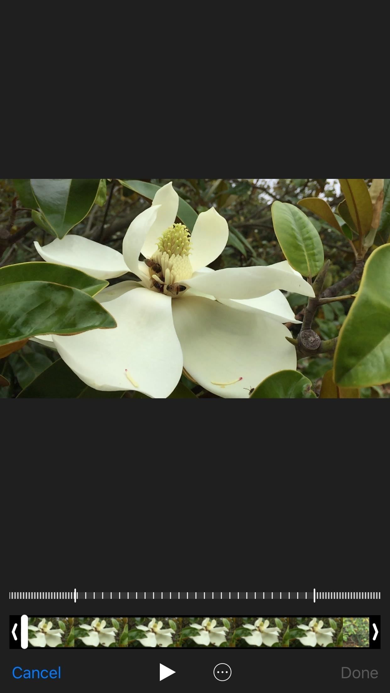 Конвертируйте видео Slo-Mo в обычную скорость прямо на вашем iPhone