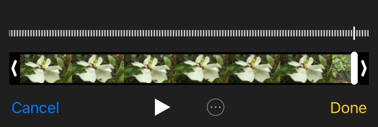 Конвертируйте видео Slo-Mo в обычную скорость прямо на вашем iPhone