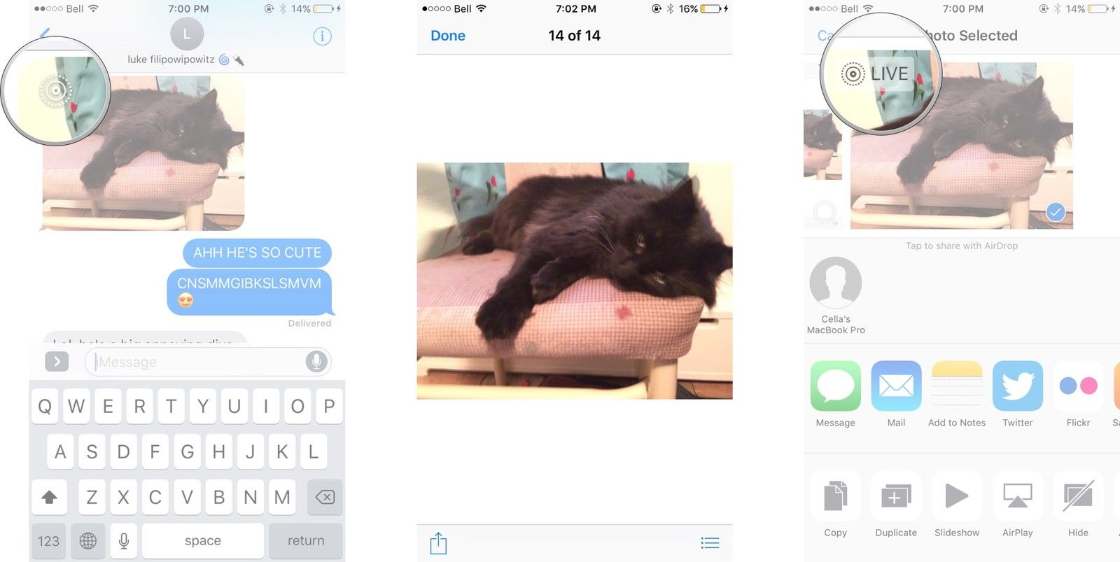 Перейдите к живой фотографии, которую хотите просмотреть, и нажмите и удерживайте, чтобы анимировать фотографию.